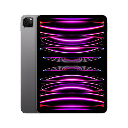 Apple iPad Pro 11-4th Gen (2022) (256GB)
