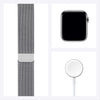 Apple Watch Series 6 (GPS + Cellular, 40mm) - Silver Stainless Steel Case with Silver Milanese Loop